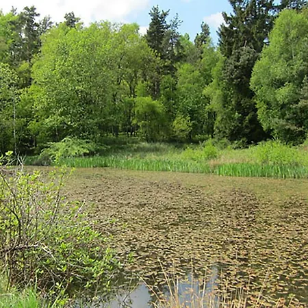 Σπίτι διακοπών Stunning In With 3 Bedrooms